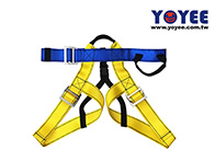 Rock Climbing Harness (Advanced)